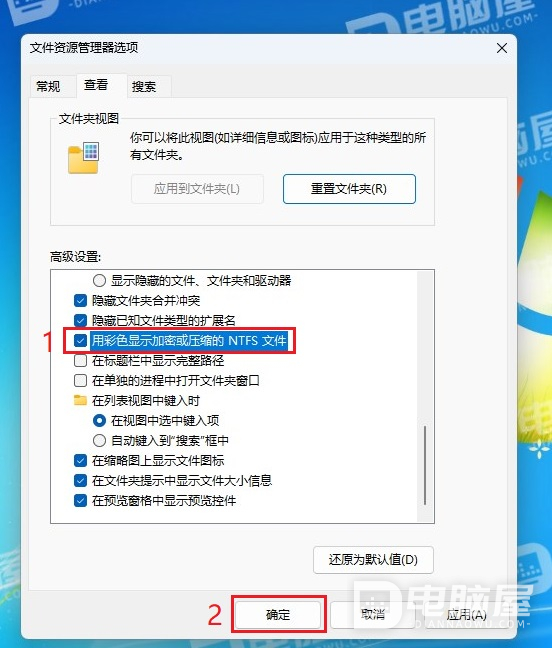 如何在Windows11中显示加密或压缩文件名的颜色