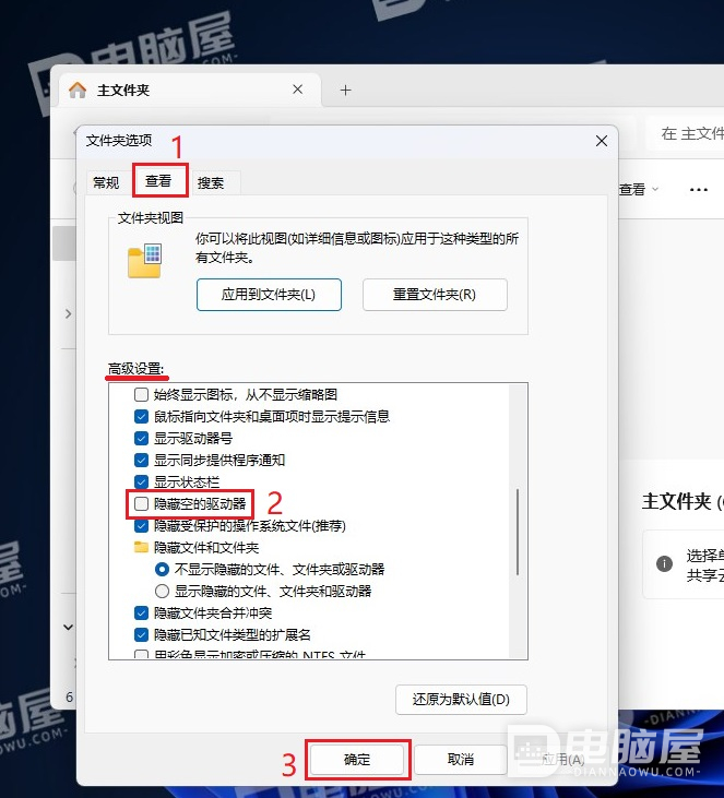 如何在WIN11系统中显示或隐藏空驱动器